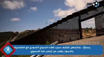 رسميًا.. واشنطن تكشف سبب طلاء السياج الحدودي مع المكسيك بالأسود بطلب من ترامب هذا الأسبوع